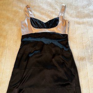 BCBG Max Azria Two-Tone Dress